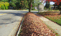 Leaf collection pile