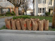yard waste bags by house