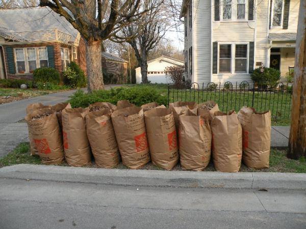 yard waste bags by house