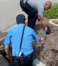 fire police duck rescue