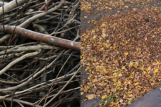 leaf and brush collection with logo