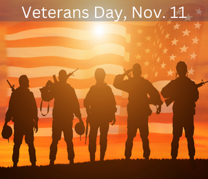 veterans day graphic thank you