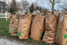 Free yard waste December