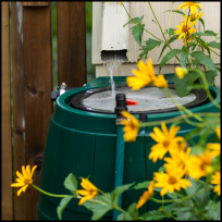 rain barrel