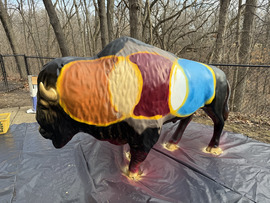 The bison sits outside after being painted solid colors on a tarp.