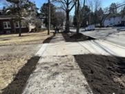 Parkway restoration in Old Town