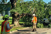 Storm cleanup