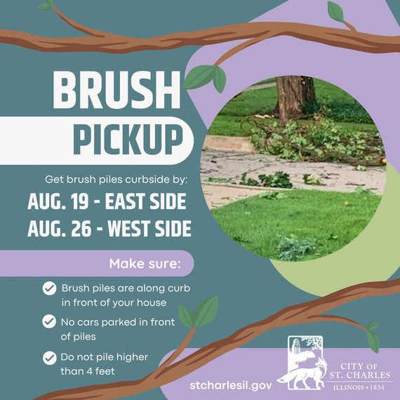 Brush Pickup Graphic