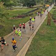 marathon runners on a trail