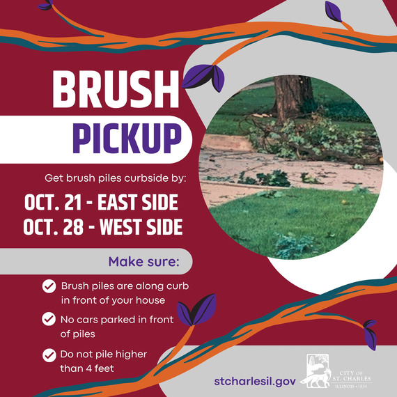 graphic with two tree brances, dates and a photo of a brush pile on a curb.