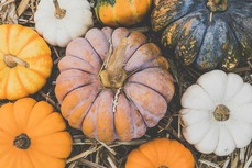 Pumpkins on top of a bail of hay.