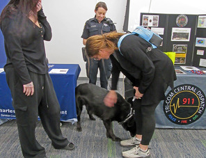 Police officer and a k-9 unit greet people interested in police force work.