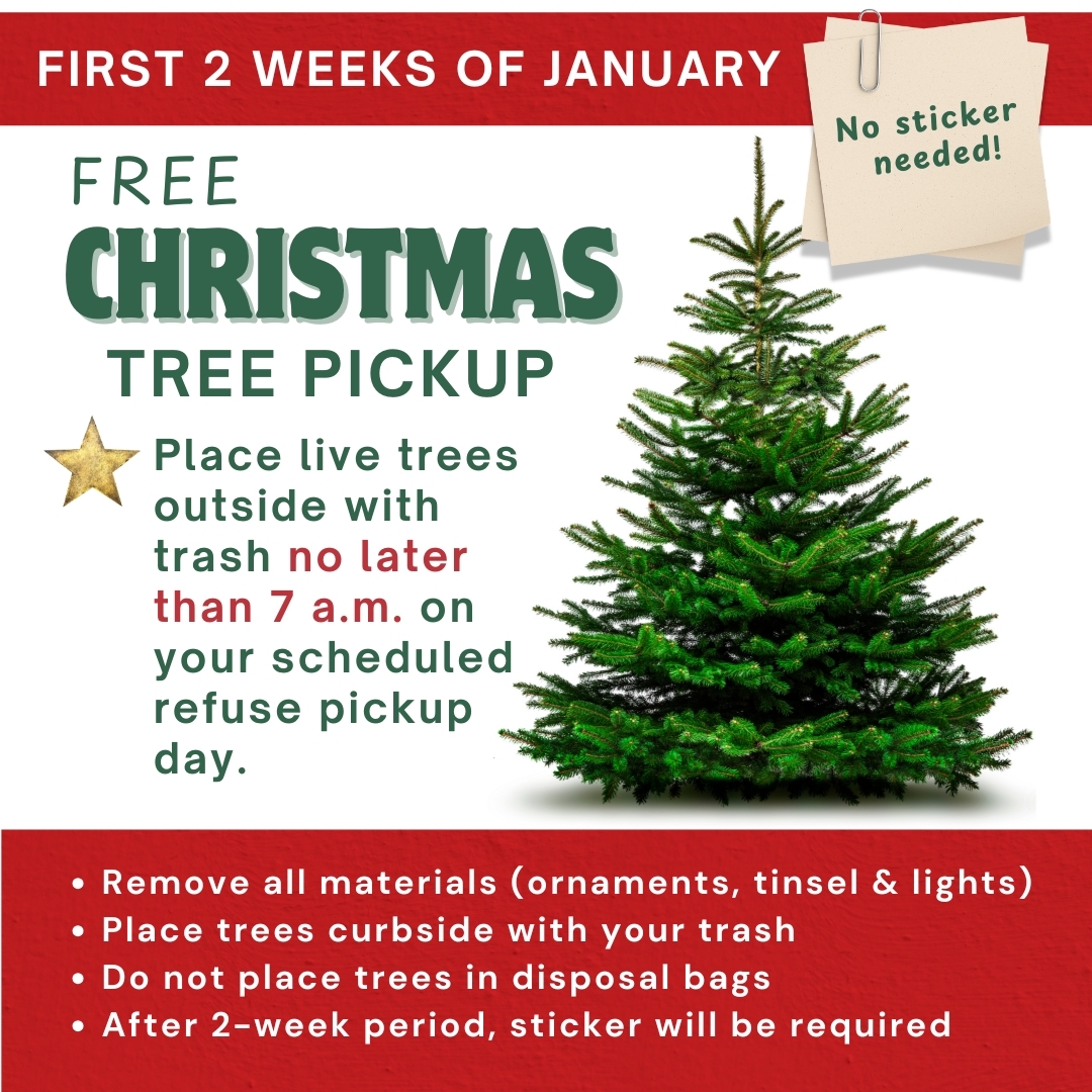 Graphic with an evergreen tree and writing in green and white with two red boxes at the top and bottom.