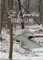 A frozen creek winding through the woods after a fresh snowfall.