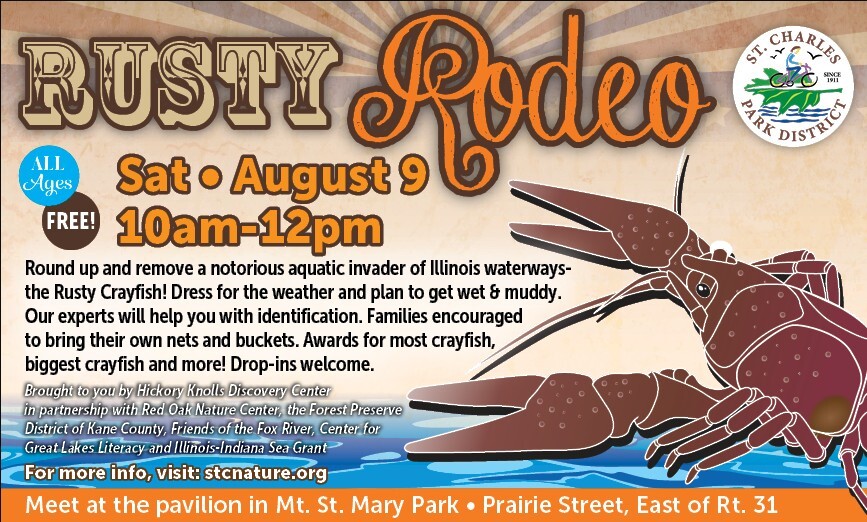 A graphic with a large crayfish in the river.