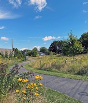 A winding path cuts through a prairie.