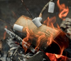 Marshmallows are roasted over an open fire.