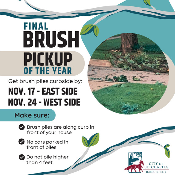 Graphic with dates for brush pickup and clip art of tree branches.