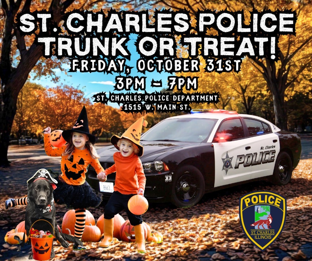 Costumed kids and a dressed up black dog are walking in front of a police car
