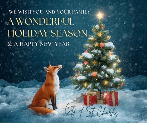 A cartoon image of a fox looking up at a lit Christmas Tree in the snow.