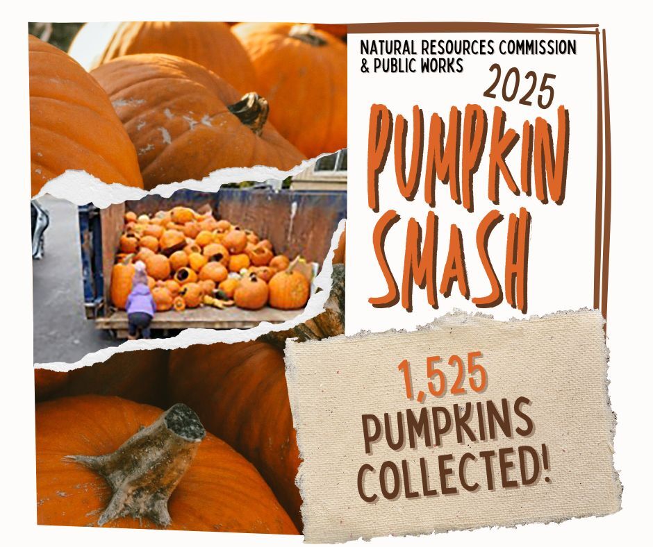 Pumpkin Smash Results