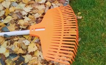 A rake with leaves and a lawn split in half.