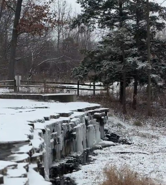 A frozen waterfall with trees in the background