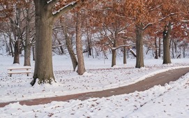 A scenic photo of a shoveled path near the park.