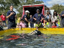 Firefighter performs a dive demonstration in a pool in the Municipal Parking Lot.