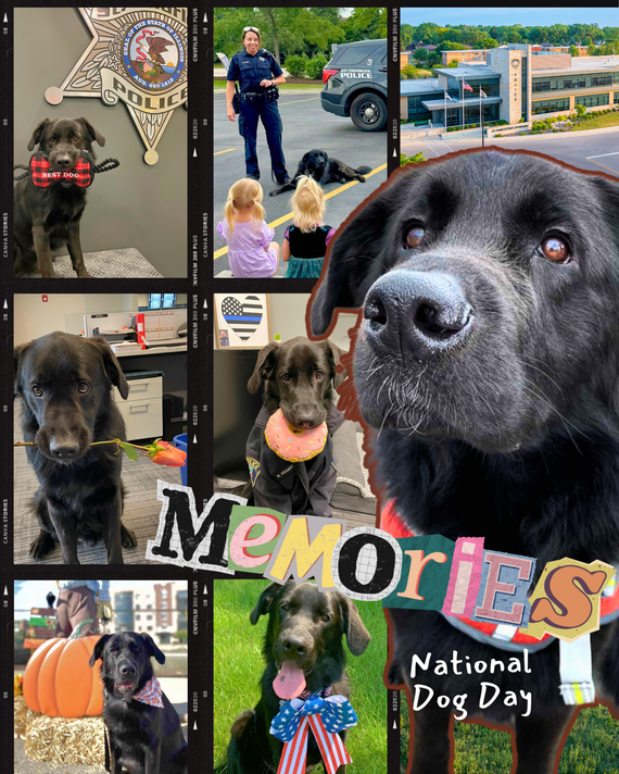Charlie of the St. Charles Police K-9 Unit is highlighted for 5 years of service on national dog day.