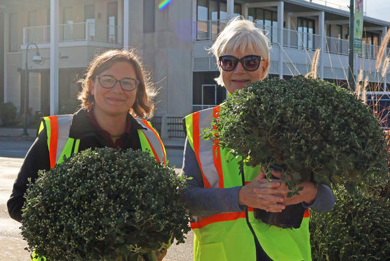 Two members of the garden club holding mums.