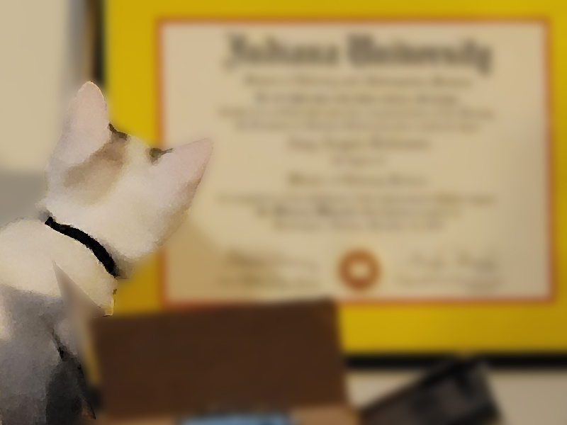 Dubious Kitten Stares At Diploma