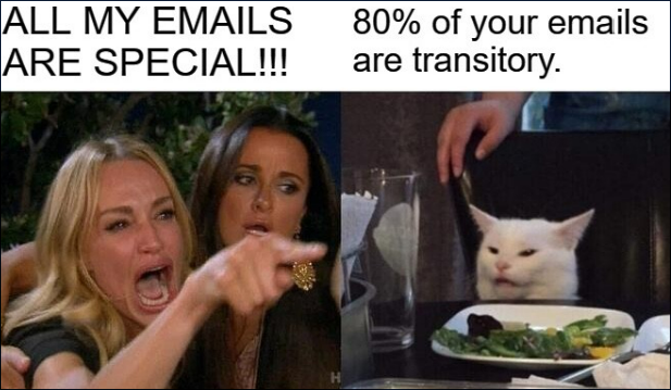 Meme: All My Emails Are Special  | 80% of Your Emails are Transitory