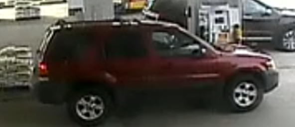 Bolo image 3-22-21 four