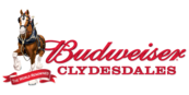 Budweiser Clydesdales Logo