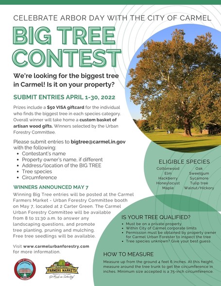 Big Tree Contest