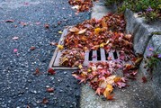 Keep storm drain clean