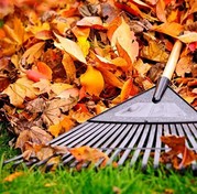 Leaf and landscape waste removal