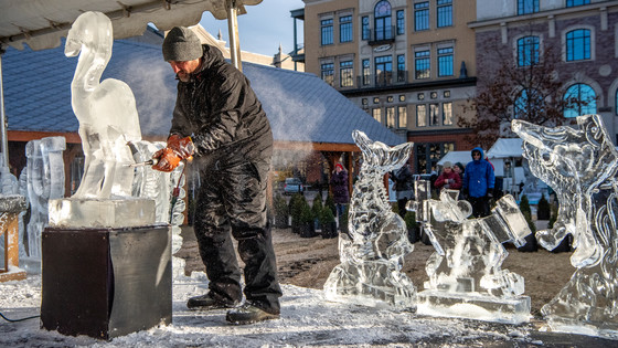 Festival of Ice