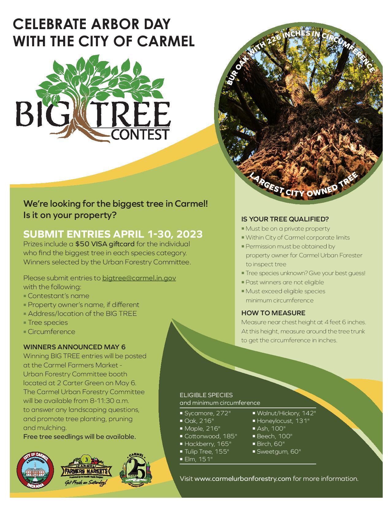 News Release City launches contest to discover who has biggest tree