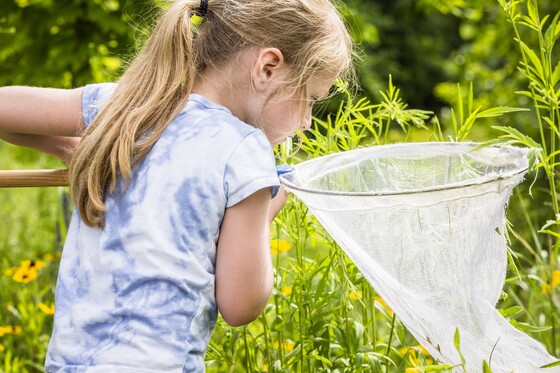 Nature's Keeper Program photo