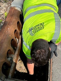 Carmel Street Department rescuing ducklings from drain.