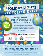 Holiday Lights flyer