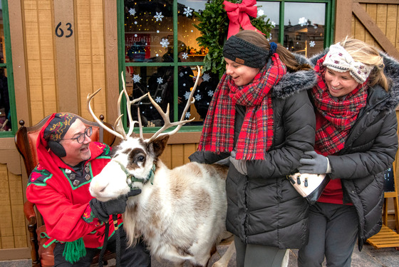 Holiday at Carter Green