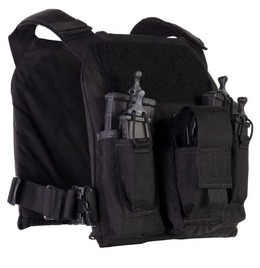 Plate carrier