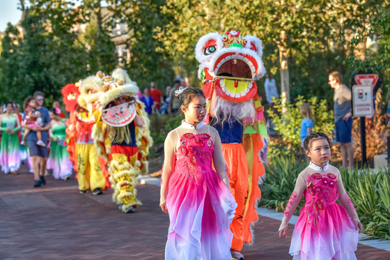 Chinese Mooncake Festival photo
