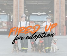 Fired up for Adoption event