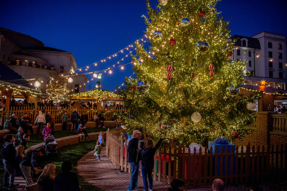 Holiday at Carter Green