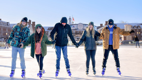 Photo of the Ice at Carter Green