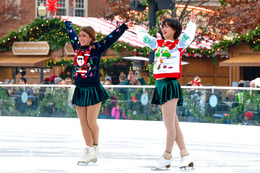 The Ice at Carter Green